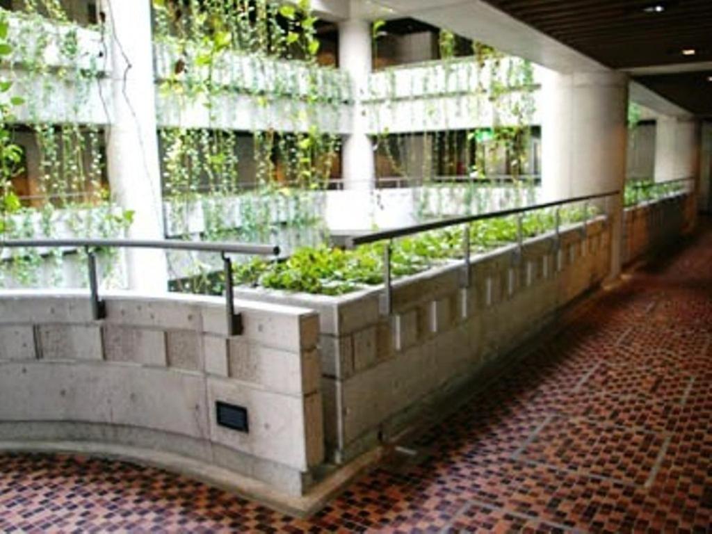 נאהא Hotel City Court מראה חיצוני תמונה